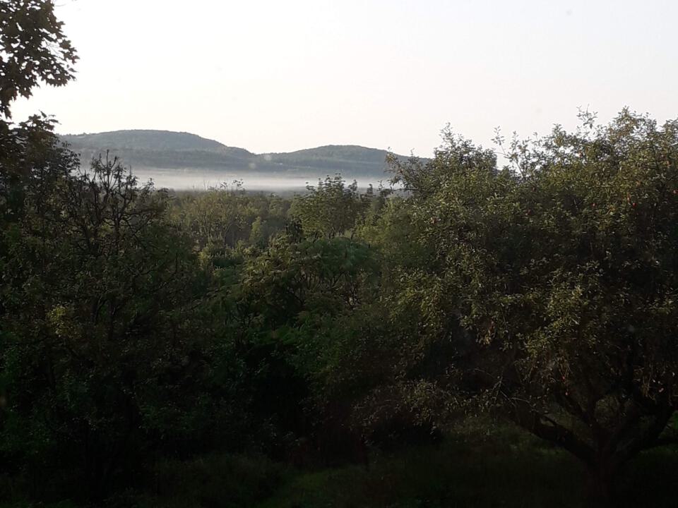 Blick aus dem ToDo Institut am 22. September 2023 morgens um 6 Uhr - es wird ein schöner Tag:-)